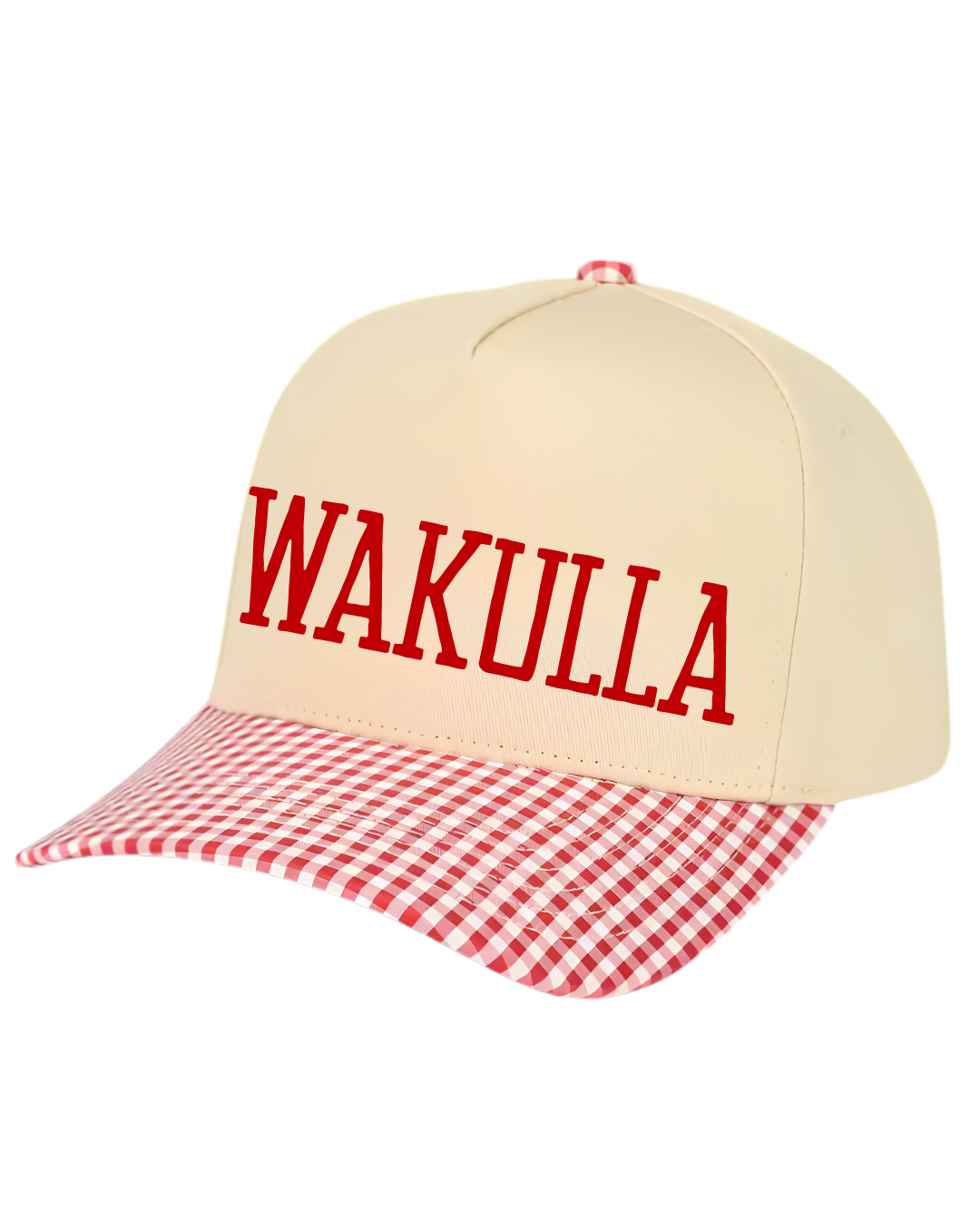 WAKULLA Two-Tone Vintage Snapback