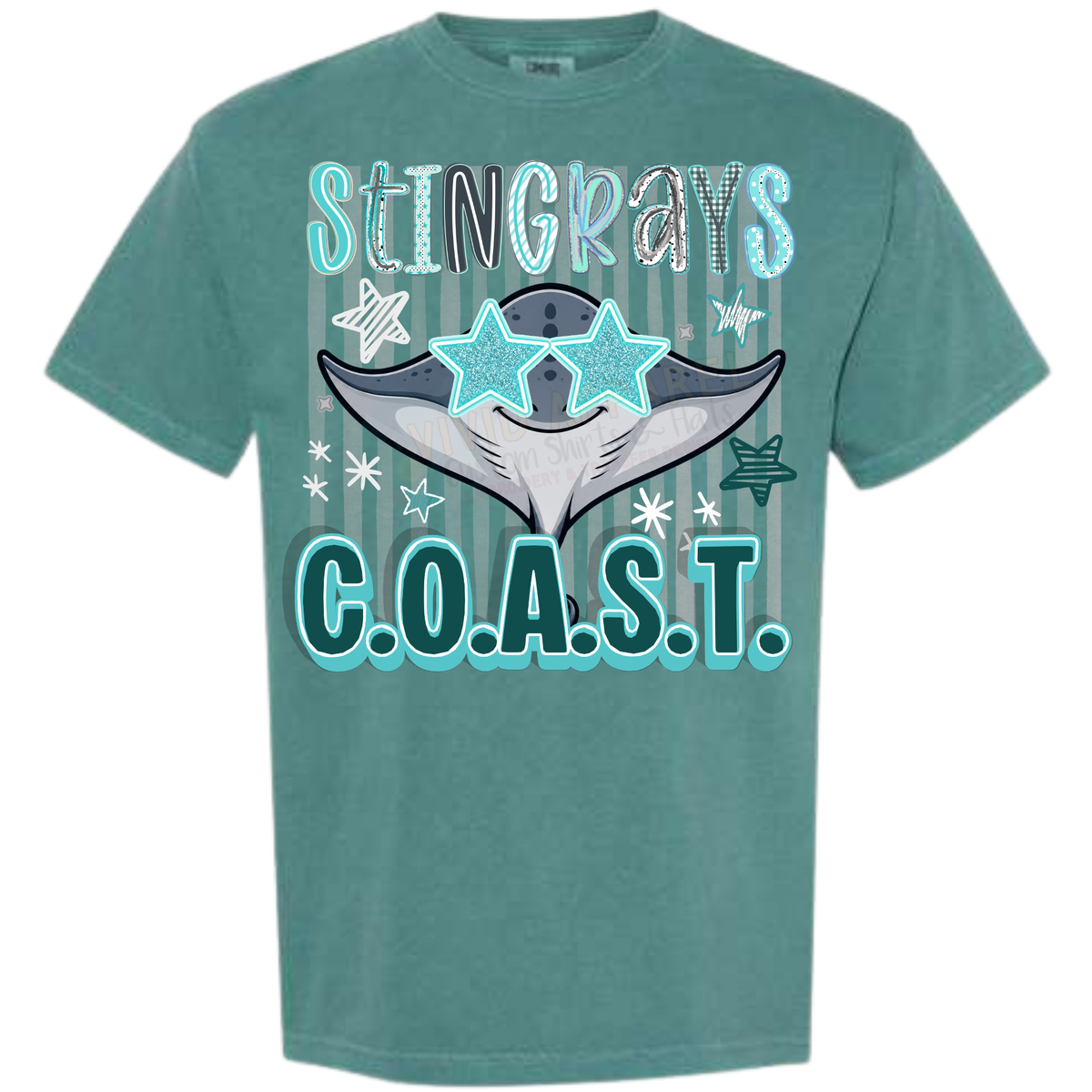 COAST Charter School Spirit Tee -- Stars
