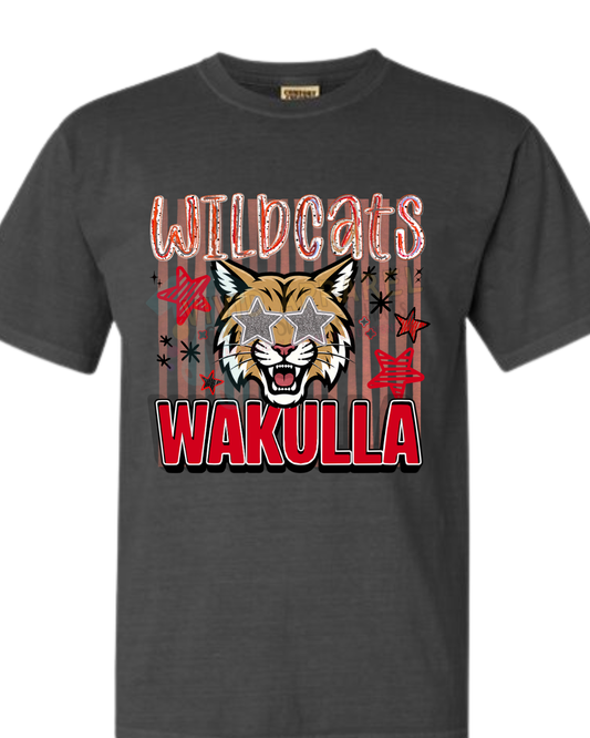 Wakulla Middle School Spirit Tee -- Stars