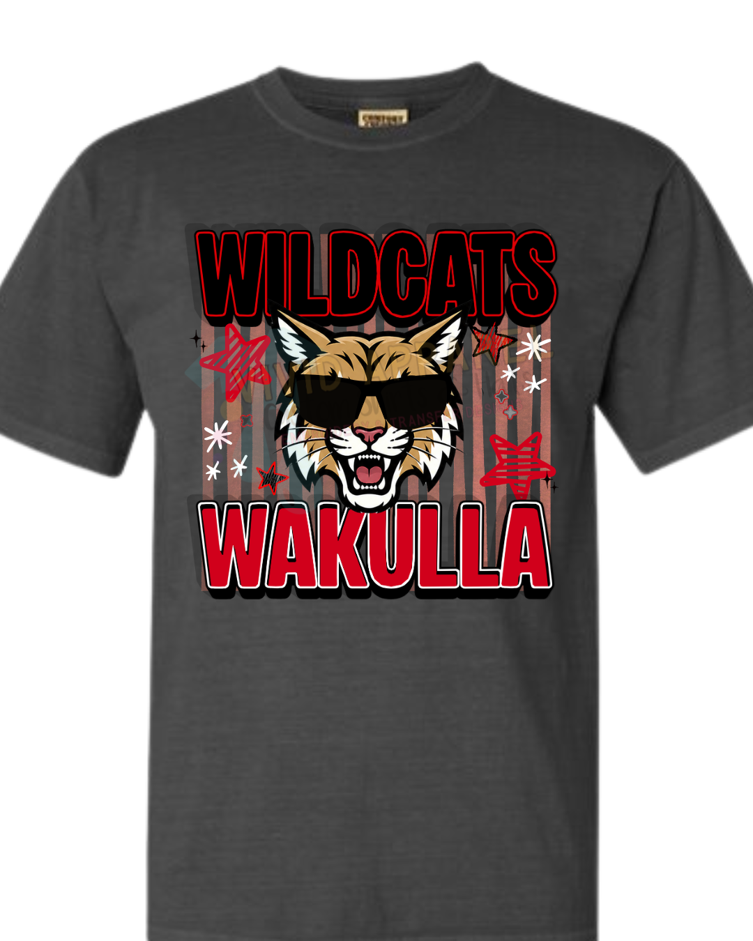 Wakulla Middle School Spirit Tee -- Shades